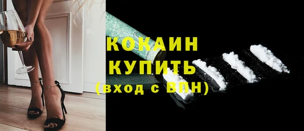 стаф Арсеньев
