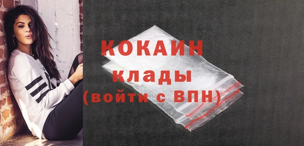 кокс Алексин